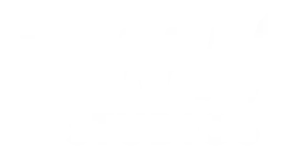 TWW Logo